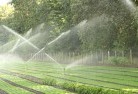 Ceratoduslandscaping-water-management-and-drainage-17.jpg; ?>